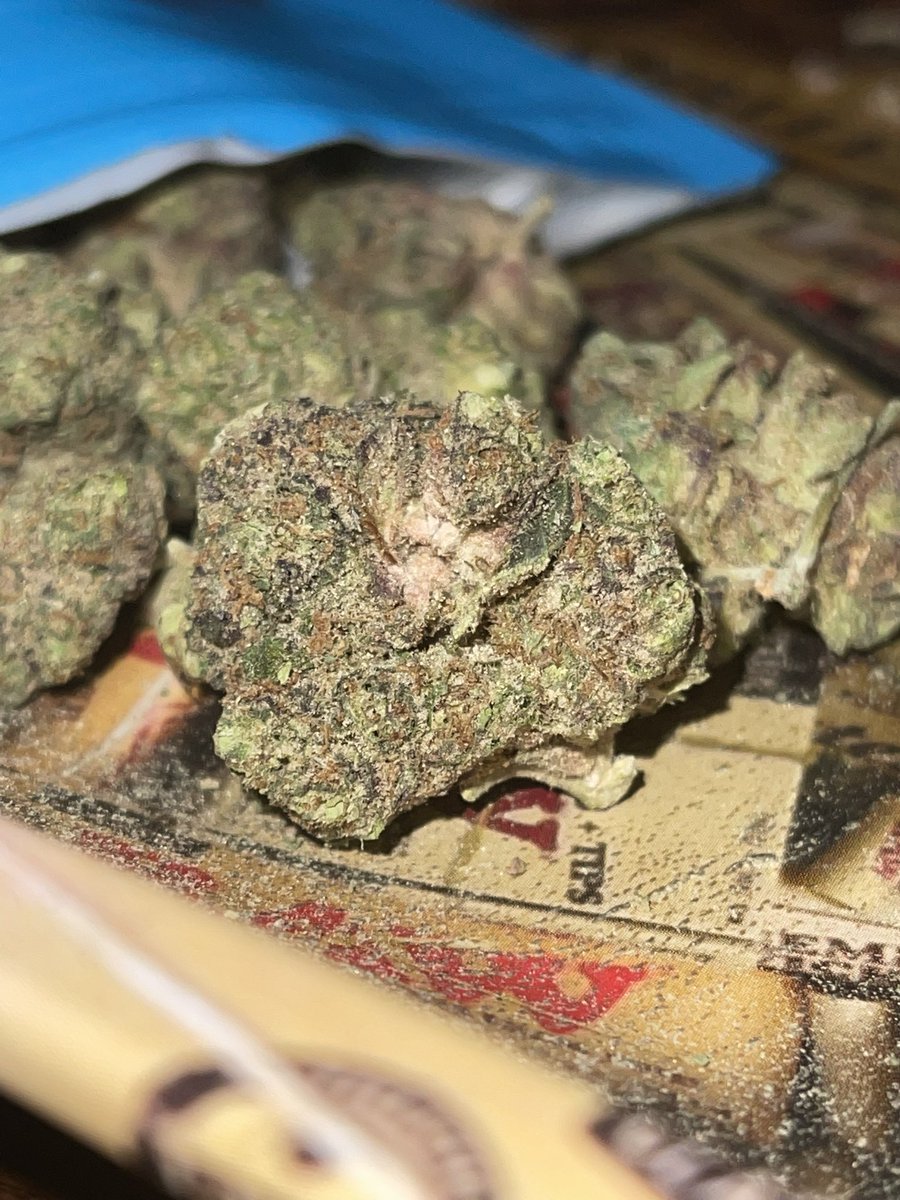 itslamilam's tweet photo. 🍃🍃🍃GUMMY BUNZ🍃🍃🍃
Wake and bake was phenomenal today 😮💨
#GoodMorningTwitterWorld #cannabisculture #Mmemberville #ReeferKeeper #CannabisCommunity
#StonerFam #Weedmob #stonergirl #420community #KushQueen✨🍃💨 https://t.co/GsQFeslYBF