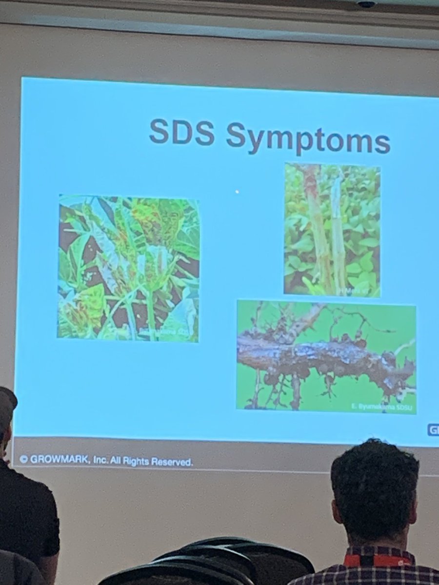 Travis MacPherson tweet media