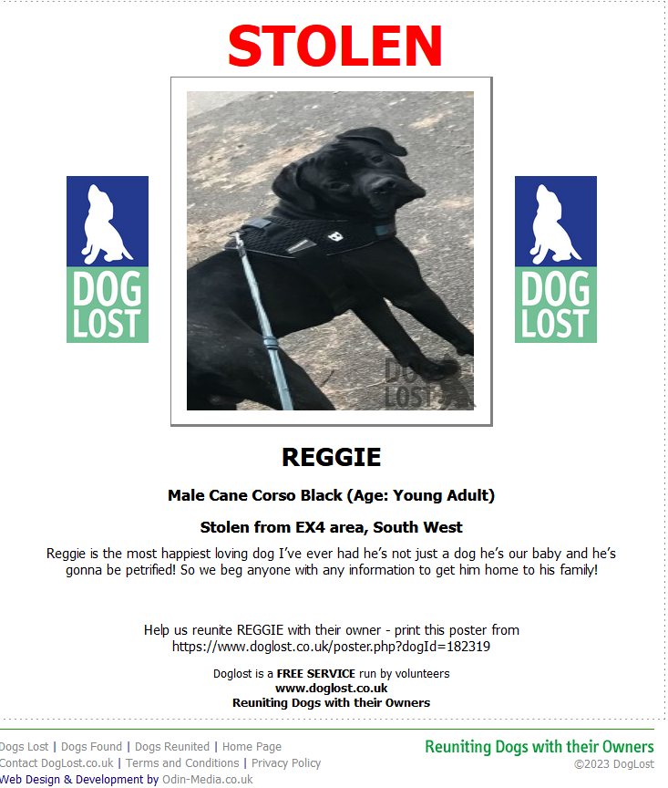 blacklab115's tweet photo. π₯π₯π₯π₯π₯#StolenDogAlert π₯π₯π₯π₯π₯
#FindREGGIE Male Cane Corso Black (Age: Young Adult)
Stolen from EX4 area, South West. ... Please retweet, thank you x https://t.co/73NuBuaoJL