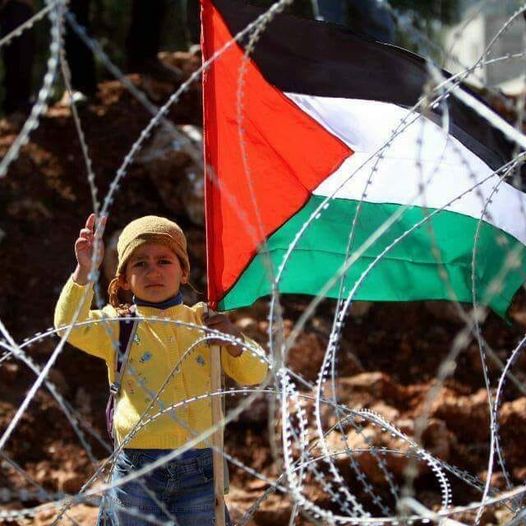 jarastaroots's tweet photo. @Africa4Pal Never #Africa 😆 This proves #Palestininian #FreePalestine Activism works. Bibi and his right wing thugs are feeling the pressure. REBUKE on the World Stage a clear rejection of their #IsraelApartheid policies #Bravo #Iraq https://t.co/vd9iVv8lK1