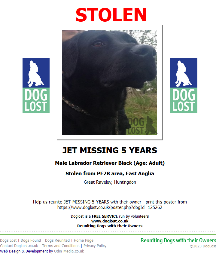 blacklab115's tweet photo. 🐕🐕🐕🐕#MissingDogAlert🐕🐕🐕🐕
#FindJet Missing 5 years https://t.co/yui4LoY8N4