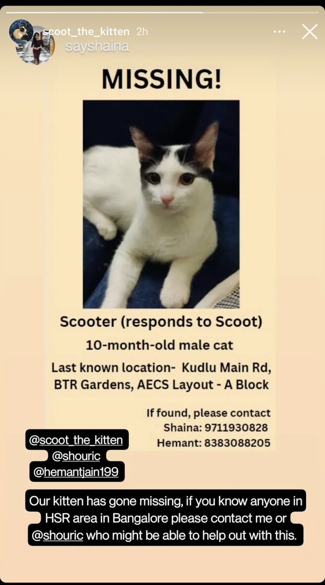 TheGhostRider31 on Twitter "RT Neerjargon Bangalore folks, my friend