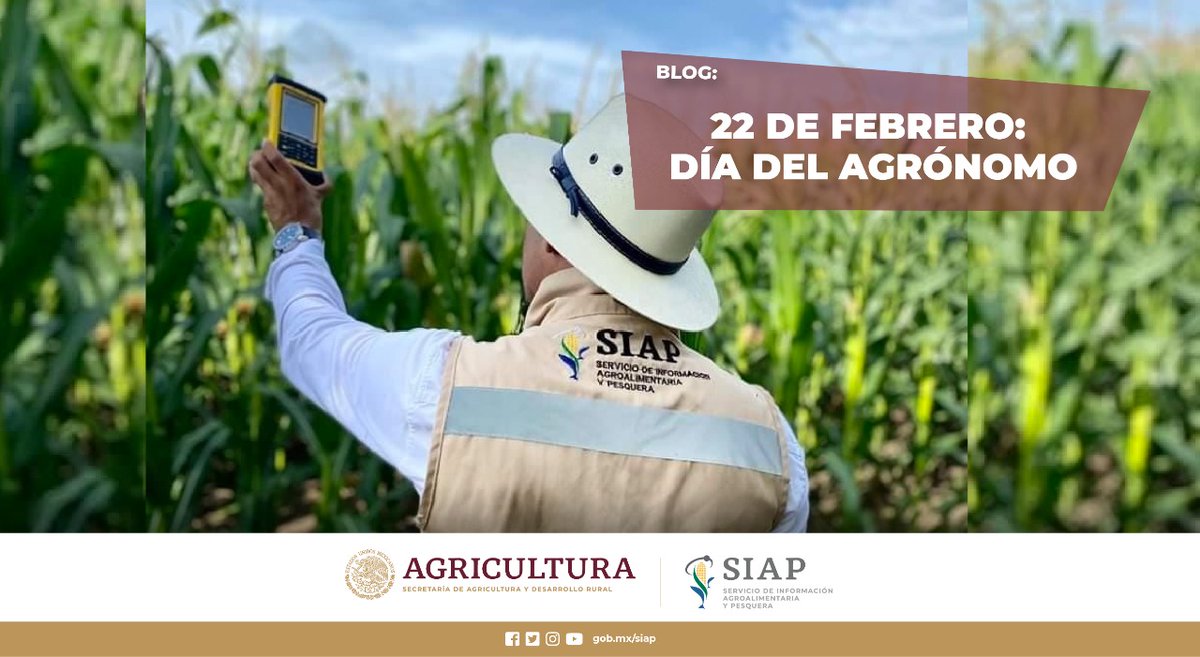 #Blog Hoy más que nunca, la función del #Agrónomo es fundamental, ya que está directamente relacionada con la #Sustentabilidad de los #SistemasAlimentarios. bit.ly/3lWS3PY
#AgriculturaMexicana
#DíaDelIngenieroAgrónomo