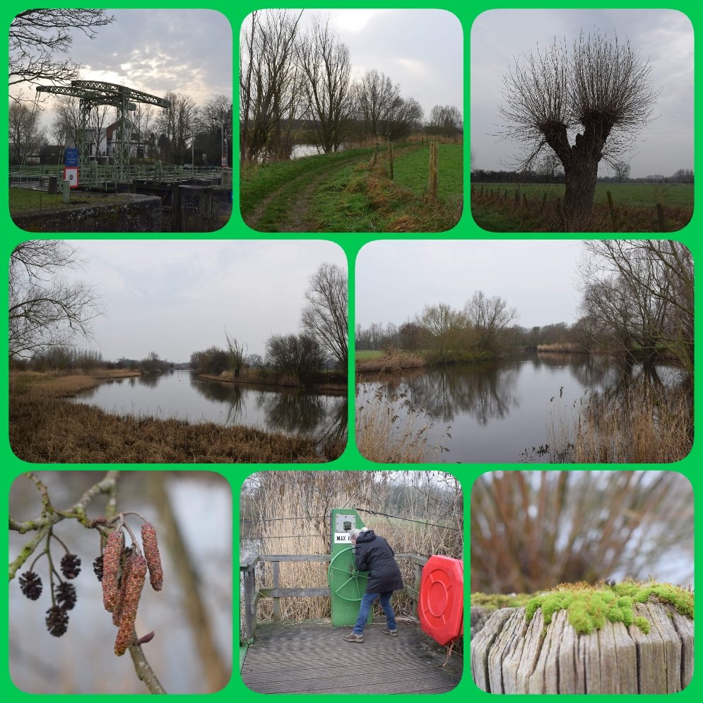 CoolsGreetje's tweet photo. #Deinze #Astene #OudSashuis #Natuurpunt #OudeLeie #VosselarePut #Bahio #Water  #GoeieBabbel #Lentekriebels https://t.co/pdnaJi8UmT