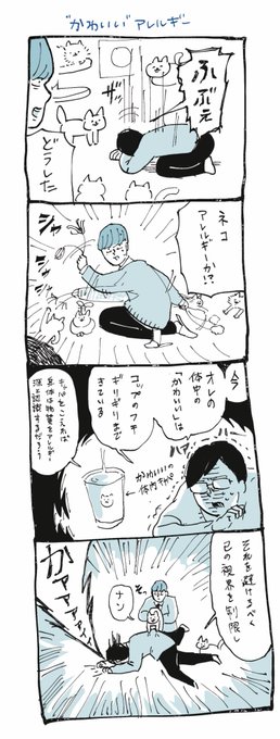 #ねこの日 #猫の日 