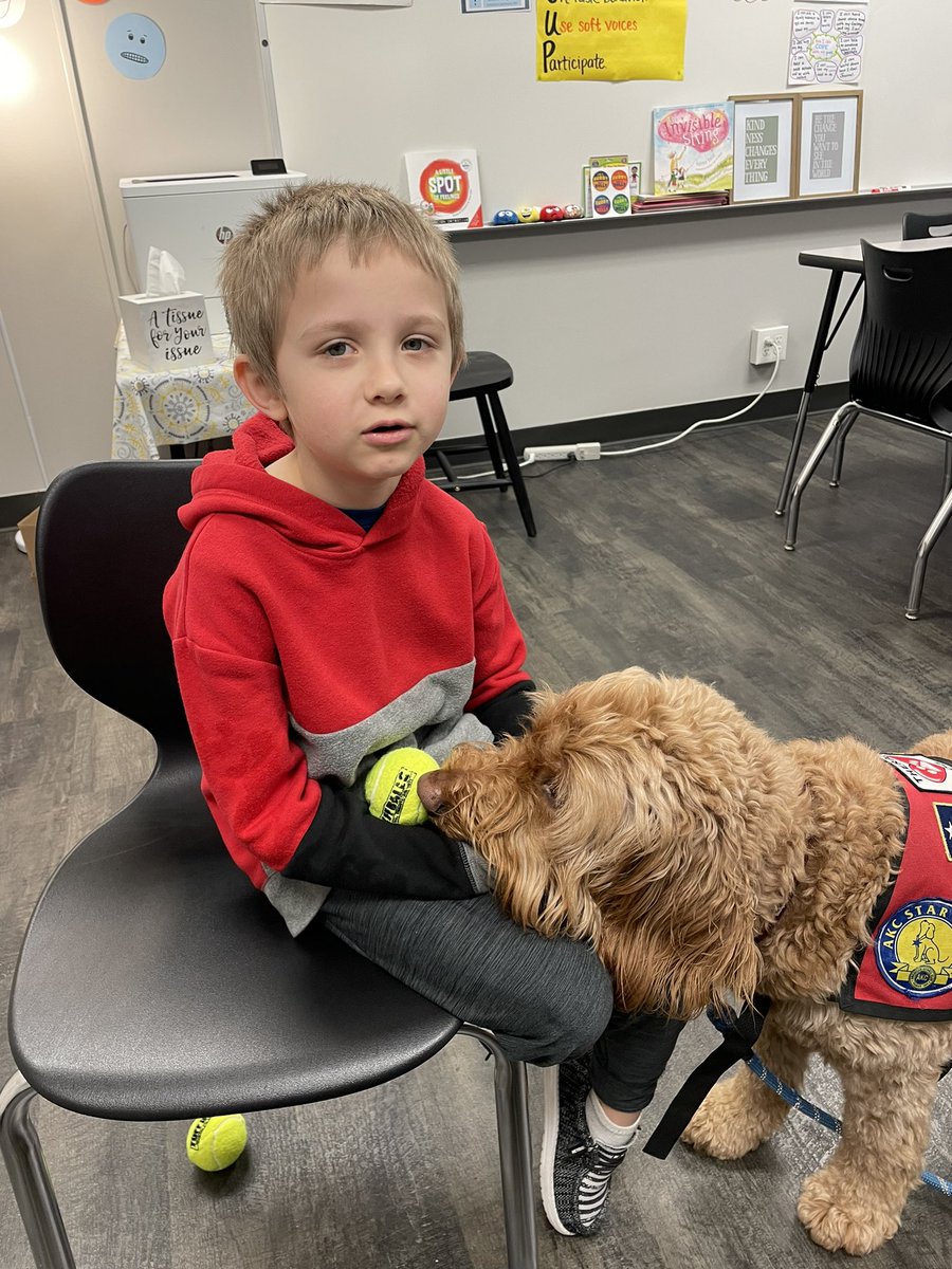 George the Comfort Dog tweet media