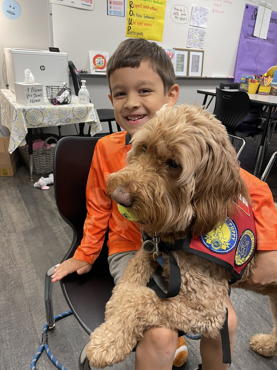 George the Comfort Dog tweet media