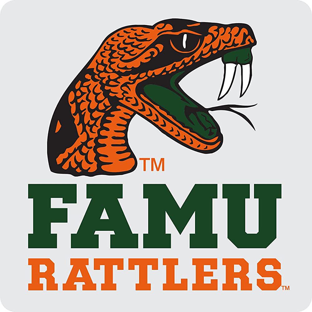Blessed to receive an offer from Florida A&amp;M!! 💚🧡 Thanks coach! @FAMUCoachPillow <a href="/FAMU_WBB/">Florida A&M Women’s Basketball 🏀</a>