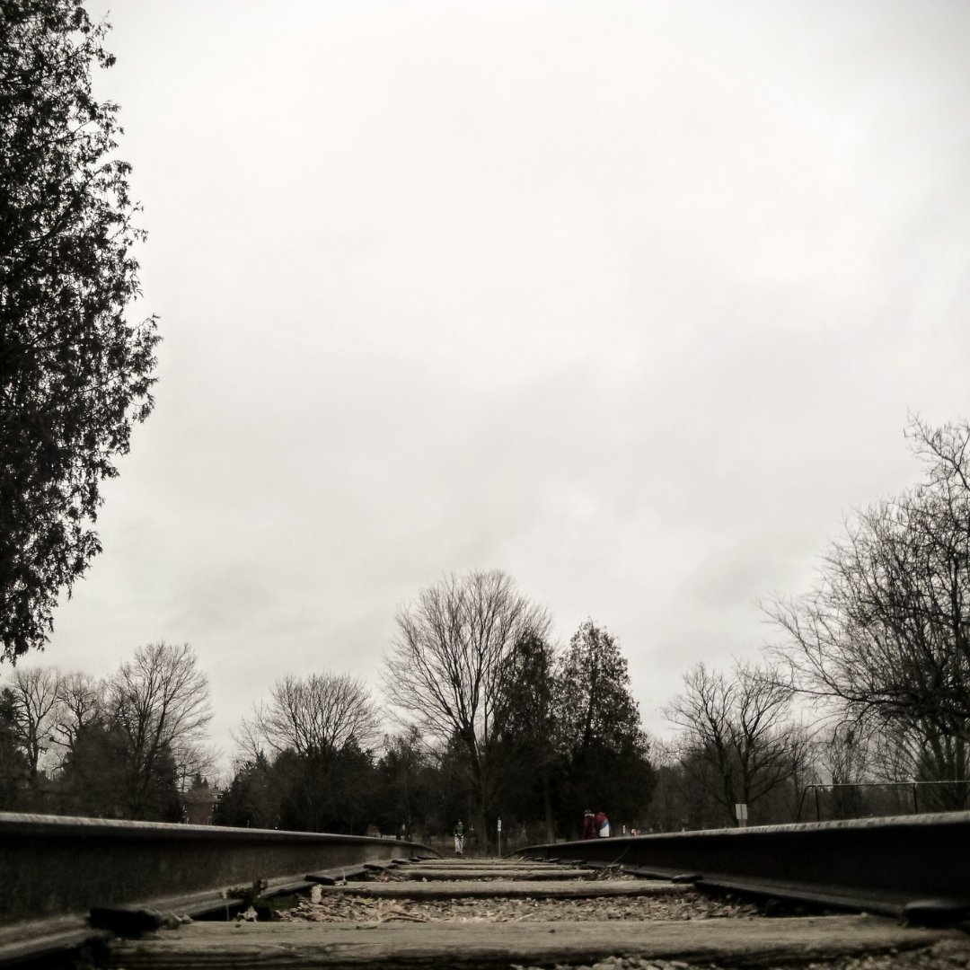 focusonnatureca's tweet photo. Welcome to our Winter Edition of the Elements of Design! Our fourth element is Space, which can help draw our eyes to the subject of the photo. Look how these students used Space to effectively frame their subjects!
#focusonnature #naturephotography #nonprofit #elementsofdesign https://t.co/jpbJohpVJP