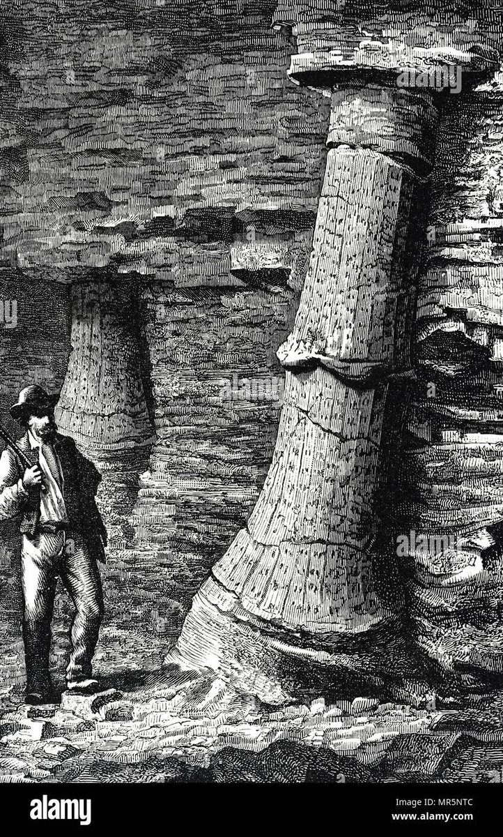 Patrick Moore on Twitter "I think it’s simply because fossil fuels