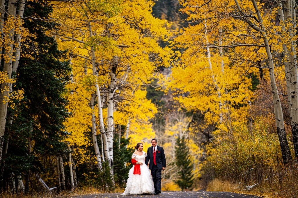 joe_pyle's tweet photo. FALL COLORS! 
•
As we get snow here in February in Estes Park, we are looking forward to when Rocky does this! 
•
Get in touch soon, our fall is nearly full. 
•
#fallcolors #aspentrees #colorado #estesparkcolorado #estespark #rmnp #rockynps #fall #we… https://t.co/SiphscS19d https://t.co/vLUcgTRhxY