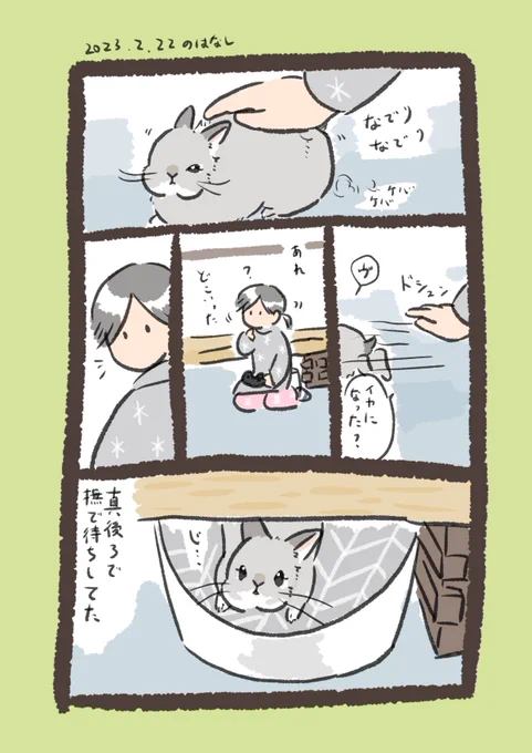 真後ろの視野なくてごめんね…

#うさぎのいる生活 