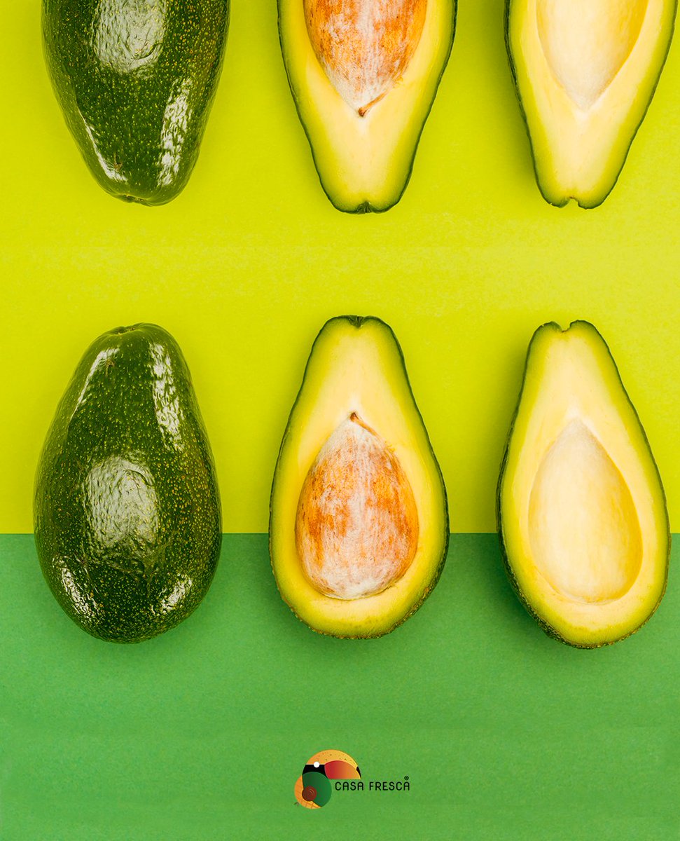 Casafrescave's tweet photo. Casa Fresca tiene dentro de su oferta exportable Aguacates 🥑 de las variedades: #pollockliso y #Choquette

Si eres importador de aguacate Tropical contacta con nosotros al +58 426 5407237

#avocado #palta #exportfruit #exportacionvenezuela #agronegocio #field #nature #shetrades https://t.co/RxLekNwKBw