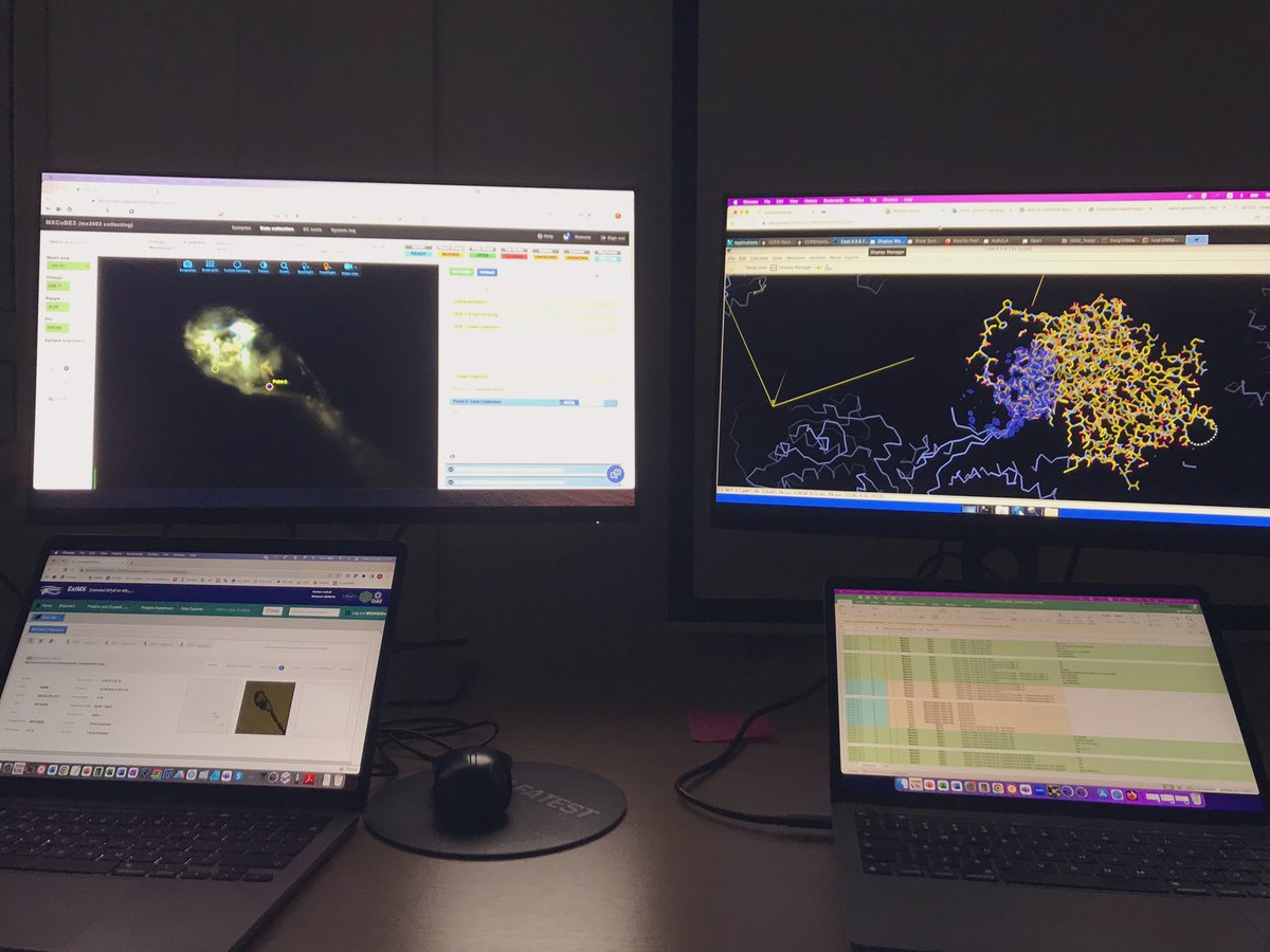 It’s an X-ray  data collection full immersion today <a href="/IEOufficiale/">IEO</a>  💎💎 always nice to collect at <a href="/esrfsynchrotron/">European Synchrotron</a> #id23_2! ✳️