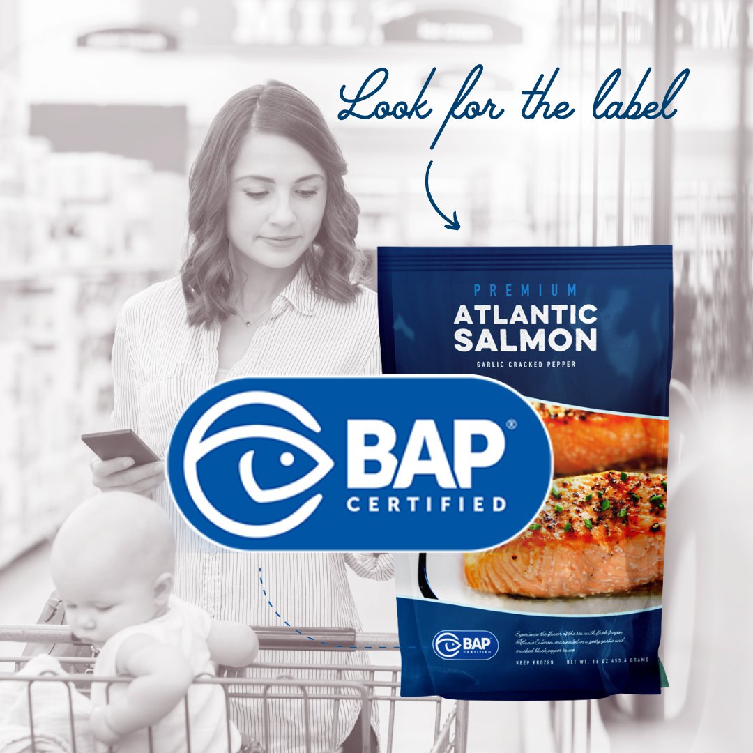 Overwhelmed by all of the choices? Save time by looking for the BAP label when shopping for seafood! Choosing products from #BAPcertified producers ensures your #seafood meets strict standards relative to the environment, the workers, food safety and the animals themselves. 🌎 🐟
