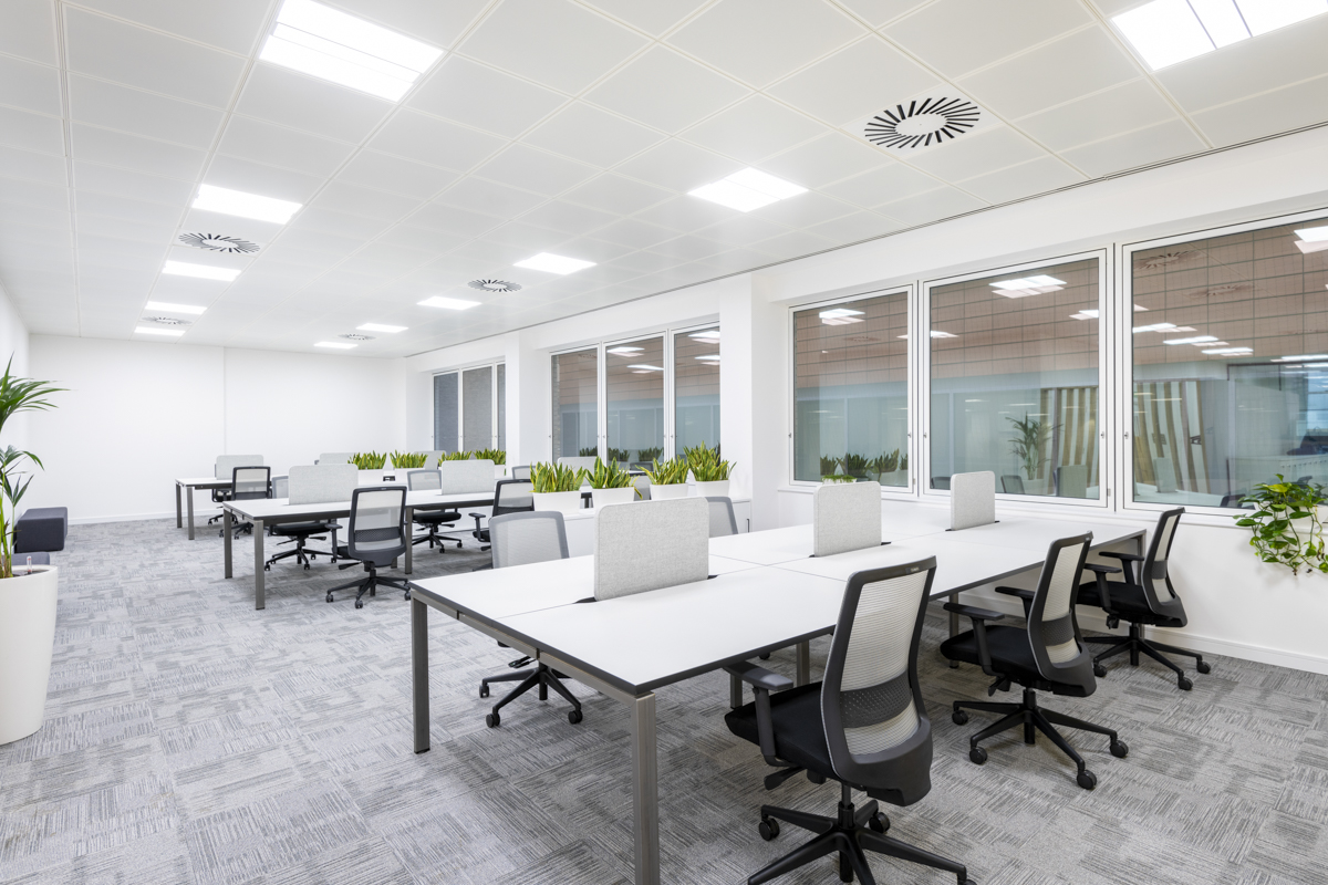 Form Fit Out tweet media