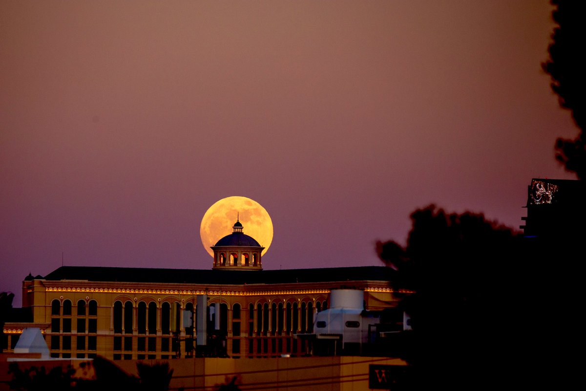 MrEnglishR's tweet photo. I’ve wanted to capture this for years from my front yard. Capturing the rising moon perfectly through the archways of the Bellagio. https://t.co/J4zL38d0EN