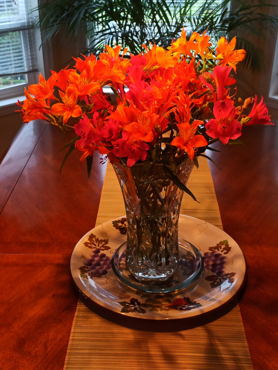 rootstobreath tweet picture