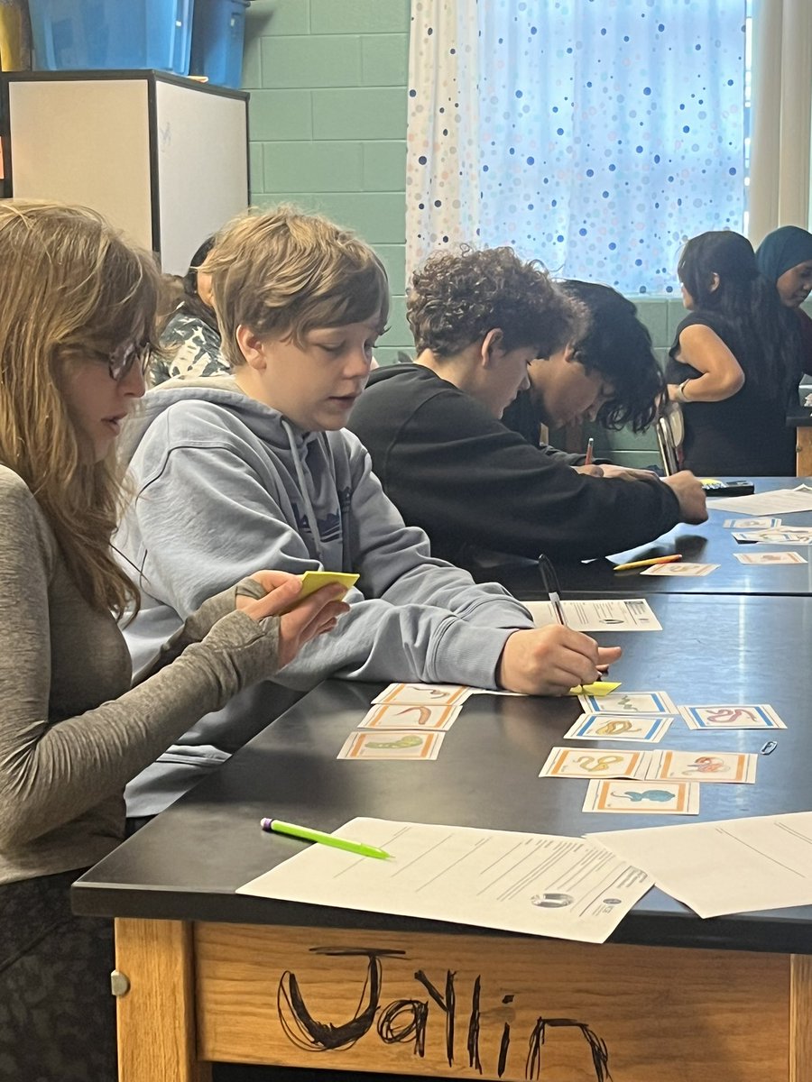 Started the <a href="/NCSE/">National Center for Science Education</a> evolution lesson sets this week and I’m excited to see where this learning takes us.  Today we looked at the evolution of snakes and attempted to build our own cladograms, but that was challenging!  <a href="/bgjhs/">Bowling Green Jr. High School</a> #loveBGJHS