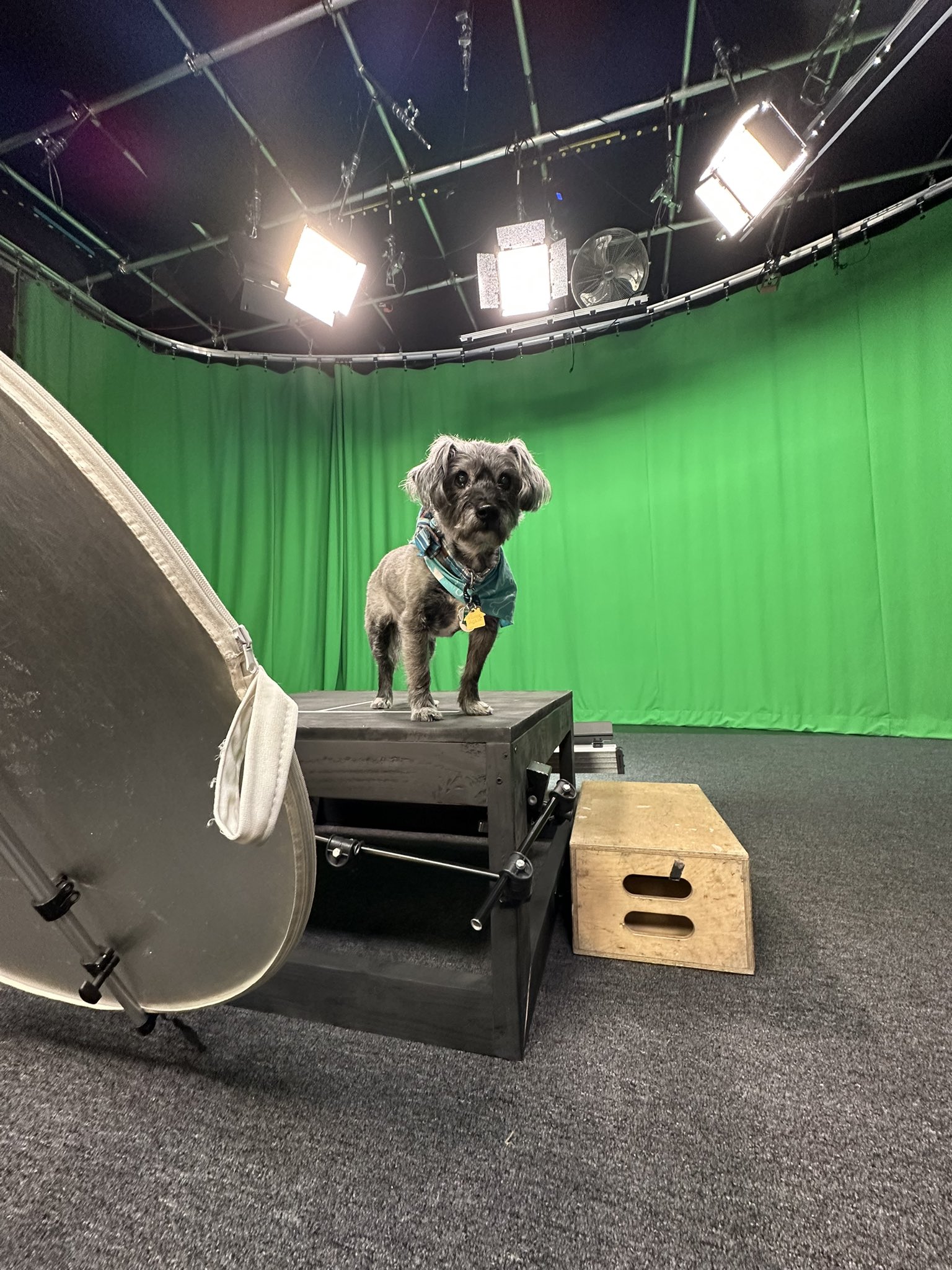 LA36 on Twitter: "Behind the Scenes with LA36! • Happy Humpday LA36 ...