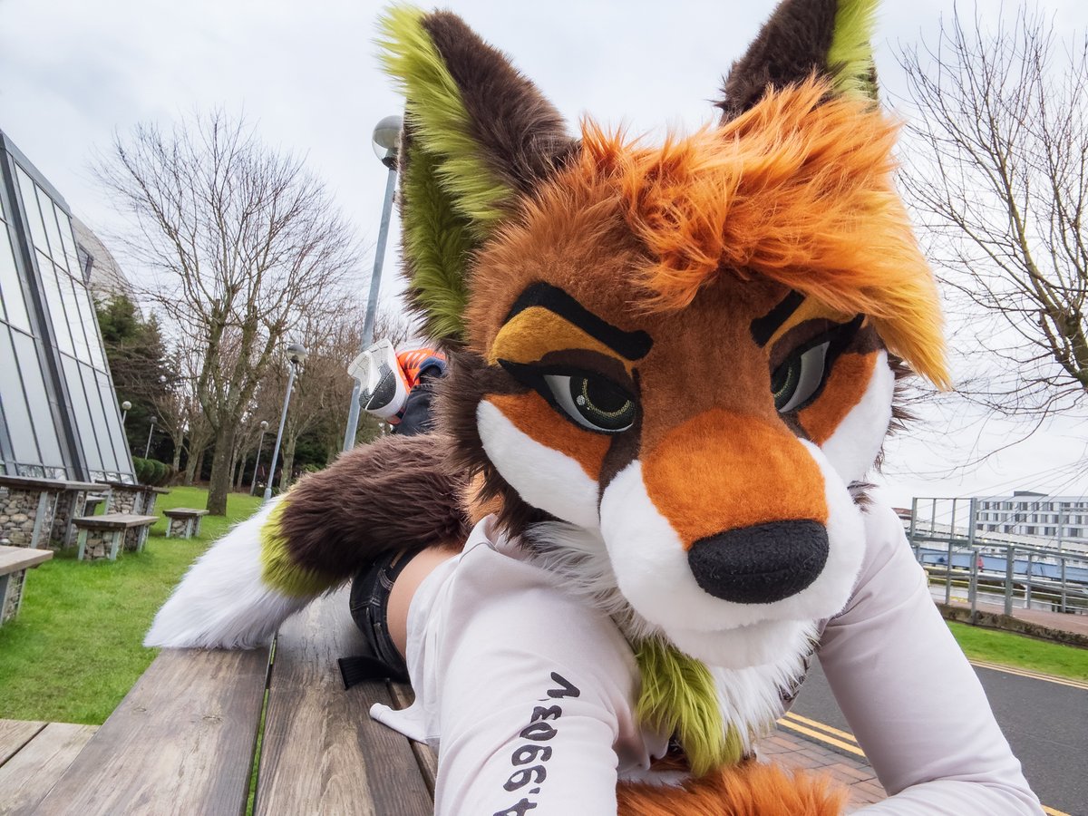FractalTheFox's tweet image. This fox interrupts your picnic 🧺🦊
What do you do? 🤔