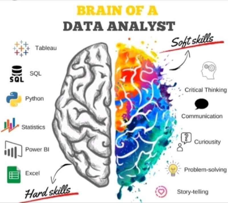 Brain of a #Data Analyst via Dr. AngShuMan Ghosh! #Infographic #5G #AI #VR #ArtificialIntelligence #DataScience #MachineLearning #Coding #Data #IoT #FinTech #GitHub #Artificial_Intelligence #Linux #OpenSource #Python #100DaysOfCode #TScottClendaniel #WomenWhoCode #100DaysofCode