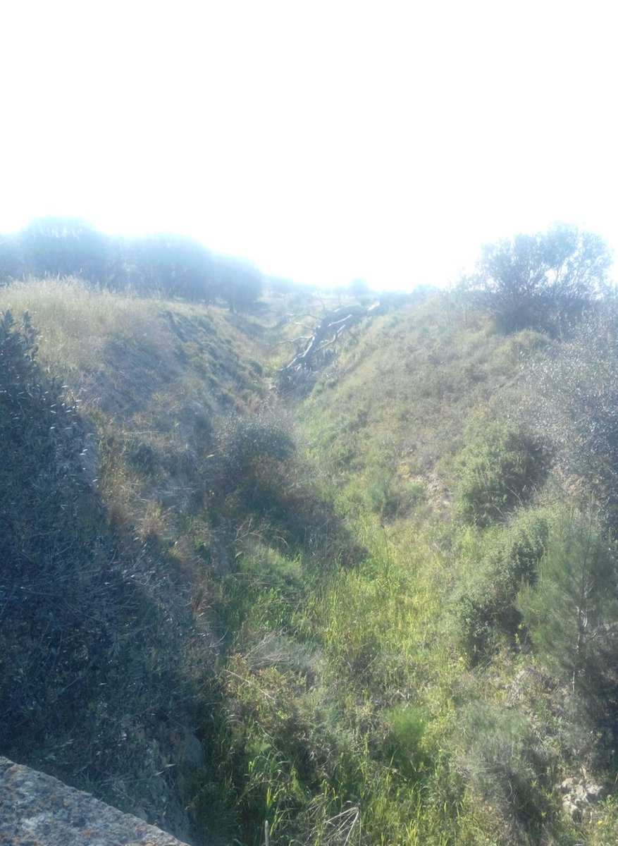 Confagricoltura Puglia: Consorzi di bonifica, domani mostreremo le prove dei disservizi
confagricolturapuglia.com/confagricoltur…