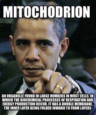 Hey its MightyMito here
Look who supports us in the #Cellelection2023