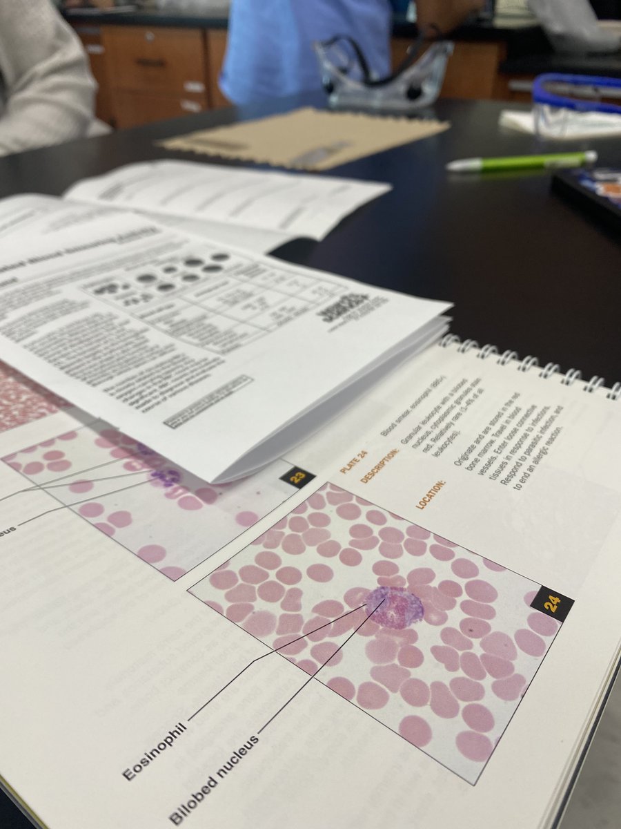 anna wydeven (she/her) tweet media