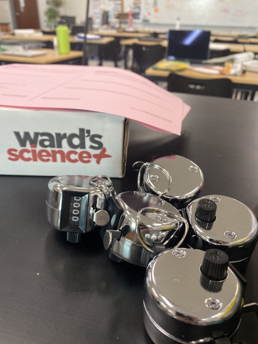 anna wydeven (she/her) tweet media