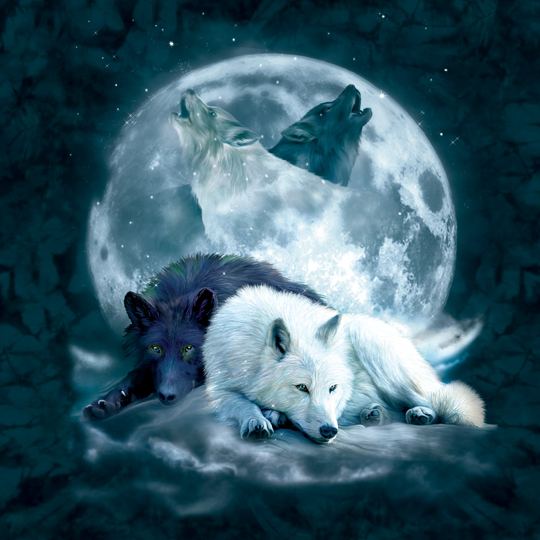 MountainArtwear's tweet photo. *SWEEPSTAKES* We are giving away this Yin Yang Wolf Mates t-shirt to one lucky #MountainCrew fan! Head over to our Facebook page and enter to win. Good luck!
Shop the tee: https://t.co/kyiKK0xOr8
#sweepstakes #tshirt https://t.co/RewHoh8hd4