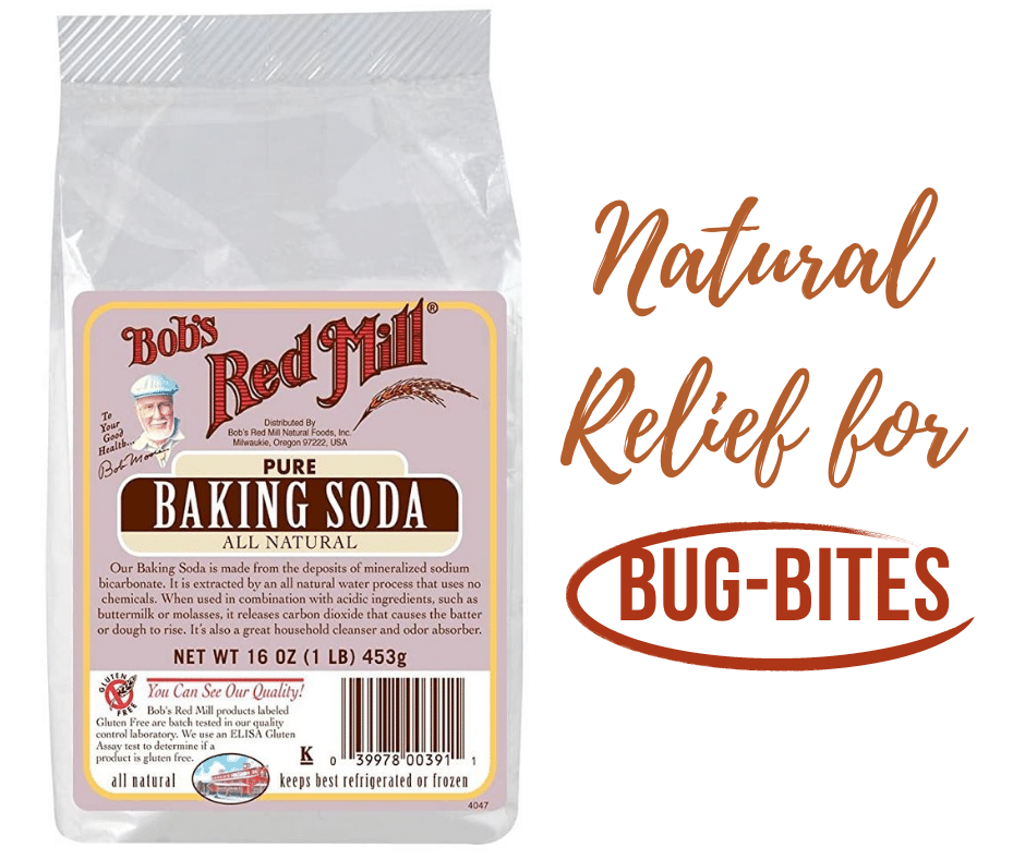 ElizabethYarnel's tweet photo. When the mosquito population is thriving, reach for this natural remedy for some quick relief. https://t.co/eH9ljZRt3H

#NaturalRemedy #Mosquito #BugBites #Itchy https://t.co/ACH06fXCIr