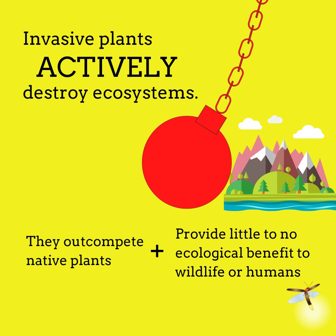 homegrownnationalpark tweet media