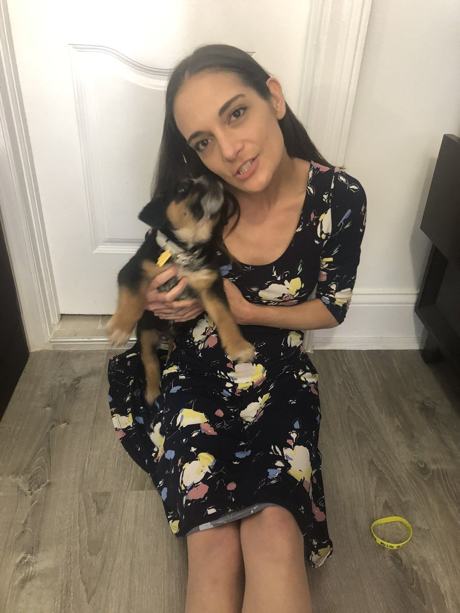 JuliaCarmel__'s tweet photo. Across the state, evictions without good cause impact families who are just trying to get by.

The harm to humans is obvious. When people with companion animals lose their homes, animals suffer, too.

Salchi the Mutt thanks @theanimalvoters for supporting #GoodPawsForGoodCause! https://t.co/J87M7yMm55