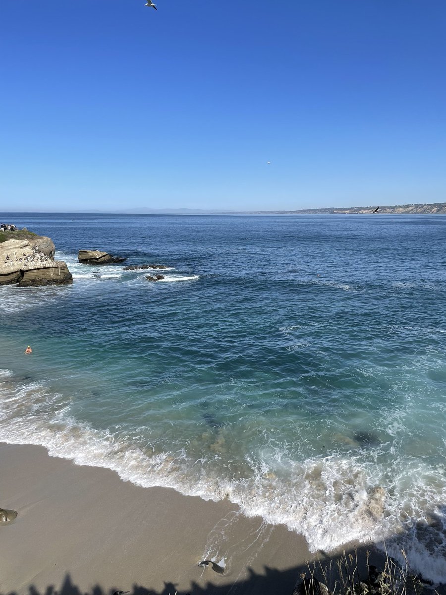 BetterAtCloning's tweet photo. Loved hearing about some awesome science and enjoying the views here in San Diego!🌞🧬🦠🧫 #BPS2023 https://t.co/ZK56uvsMfG