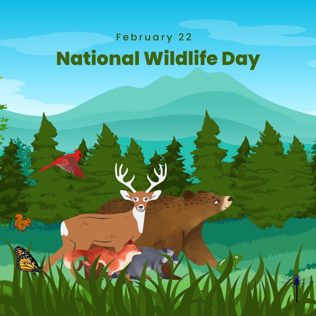 The Wildlife Society at UIUC tweet media