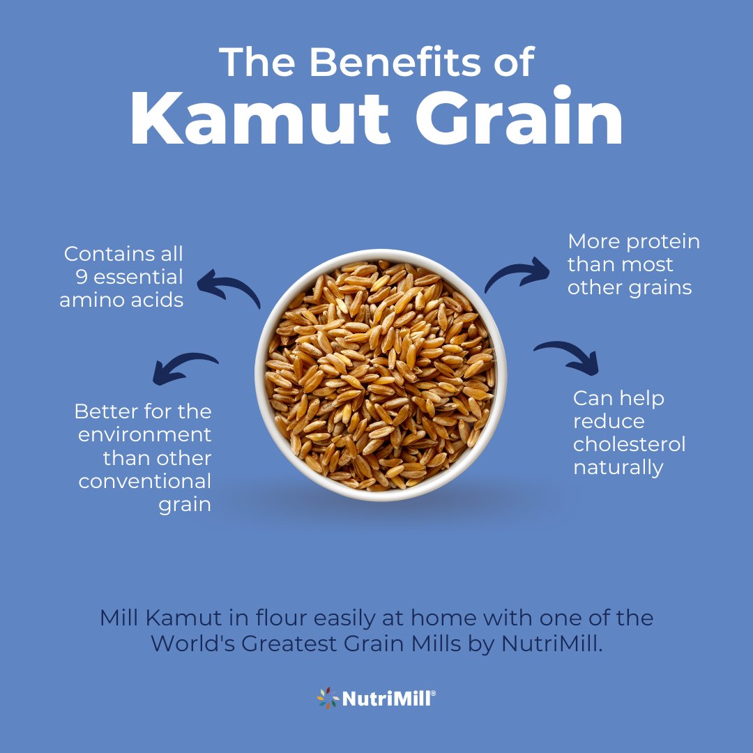 Did you know that Kamut grain, also known as Khorasan wheat, is an ancient grain with higher protein and minerals than modern wheat? Plus, it's gluten-friendly for those with sensitivities! Kamut is one of the healthiest grains available. #Kamut #HealthyGrains #NutriMill