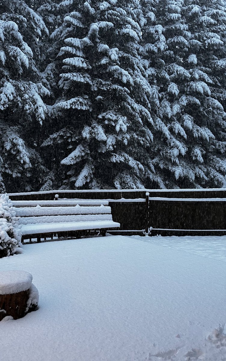 SHANE_SETSER's tweet photo. @WashougalGov @WeatherJefe Bear Hill, in Washougal, WA this morning. ❄️ 🌨️ 🥶 Stay Safe, everyone! https://t.co/loJwQn4XXo