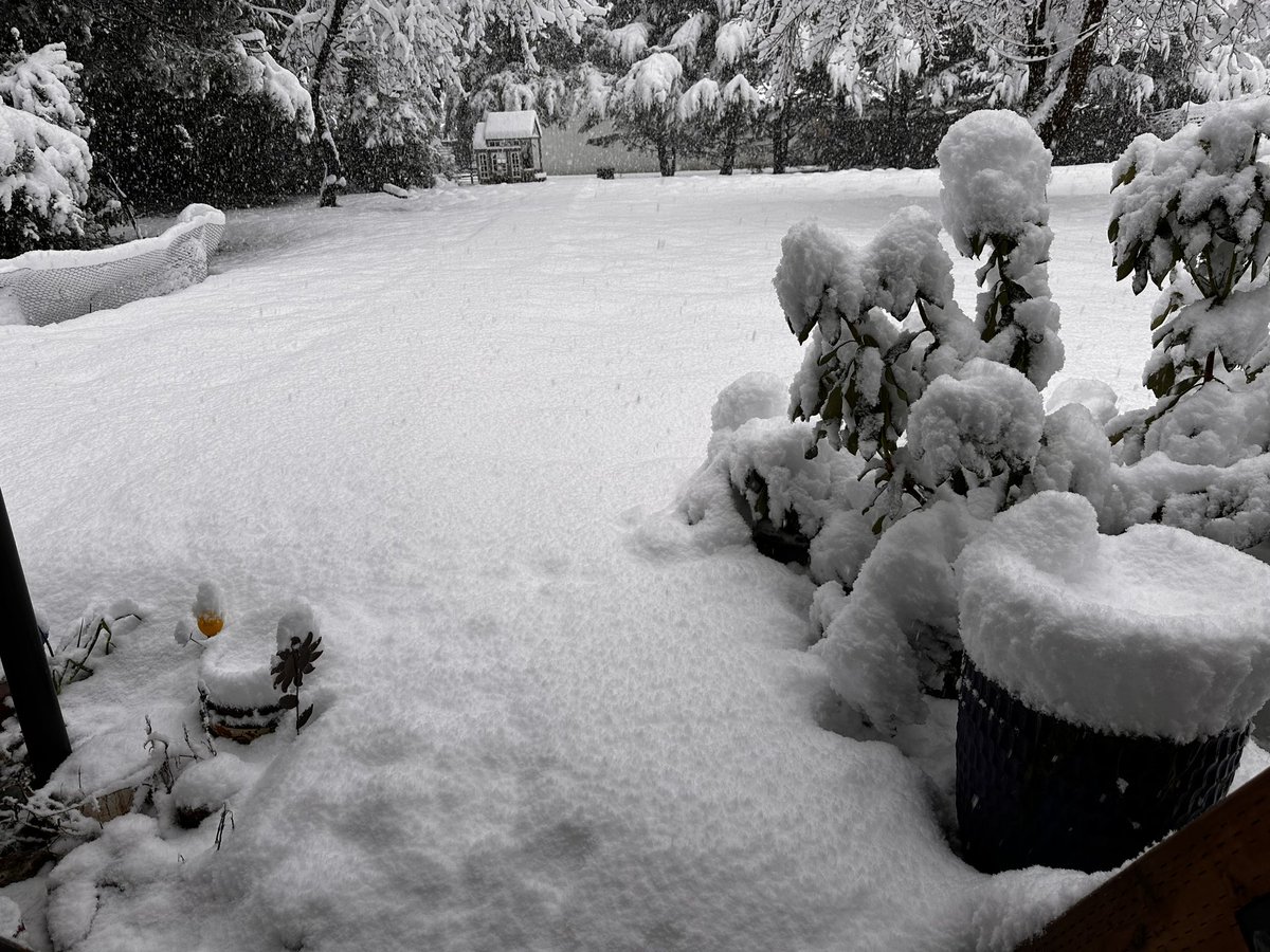 SHANE_SETSER's tweet photo. @WashougalGov @WeatherJefe Bear Hill, in Washougal, WA this morning. ❄️ 🌨️ 🥶 Stay Safe, everyone! https://t.co/loJwQn4XXo