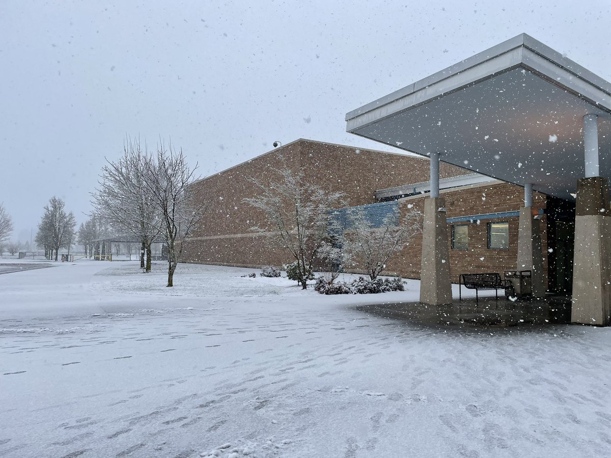 LibraryShahala's tweet photo. Snowy Shahala! https://t.co/47infp0ine
