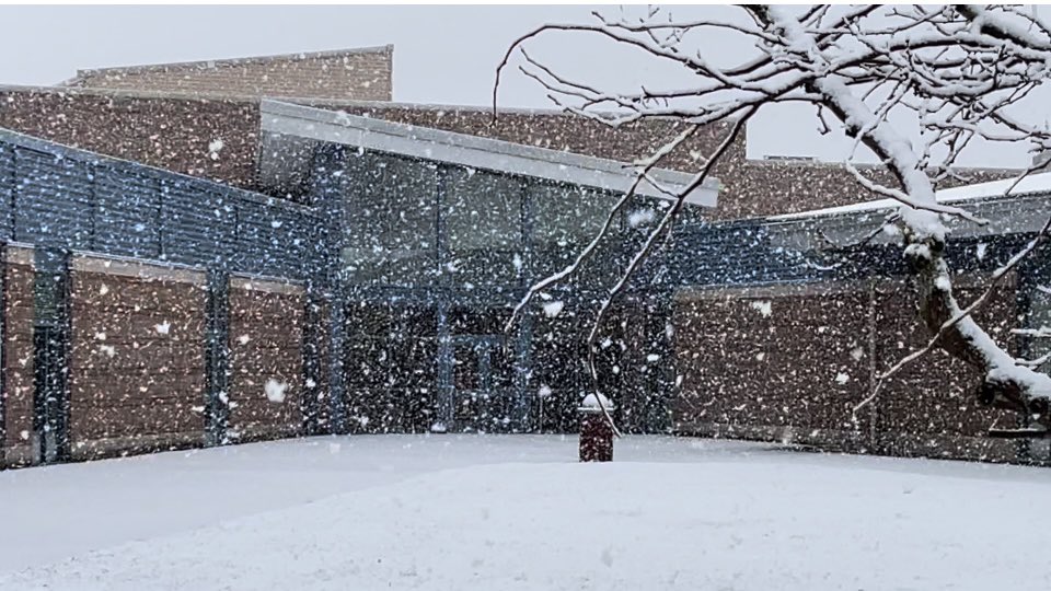 LibraryShahala's tweet photo. Snowy Shahala! https://t.co/47infp0ine