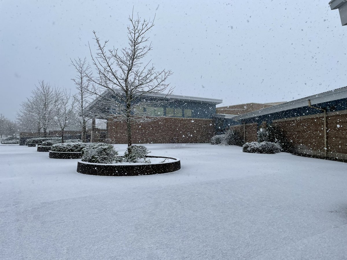 LibraryShahala's tweet photo. Snowy Shahala! https://t.co/47infp0ine