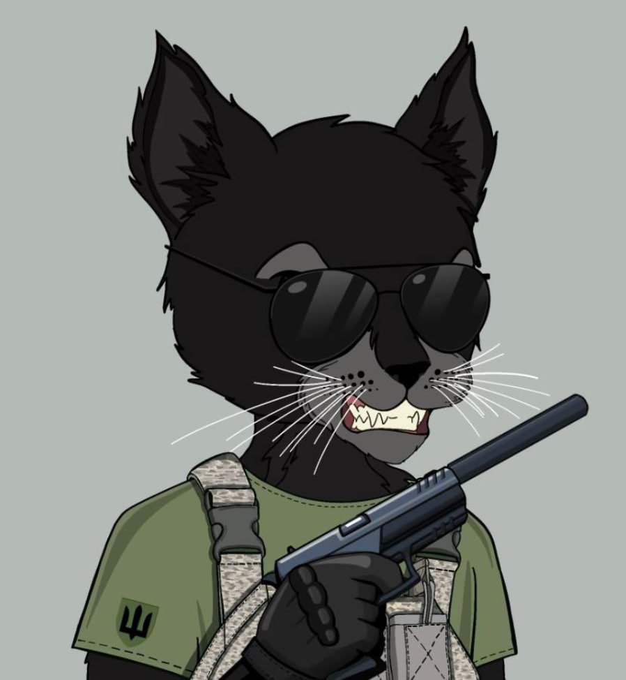 nick_havryliak's tweet photo. Just bought my first NFT cat from the #UACatsDivision collection of 10,000 unique cats on the Ethereum blockchain: https://t.co/iZYgN70dNP
All funds are donated to support #Ukraine! https://t.co/VIv4oVzaFO