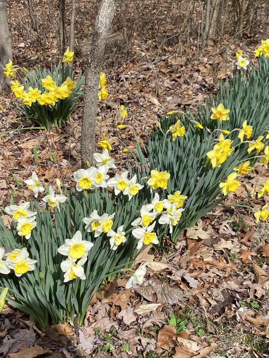 Johnny Saunders tweet media