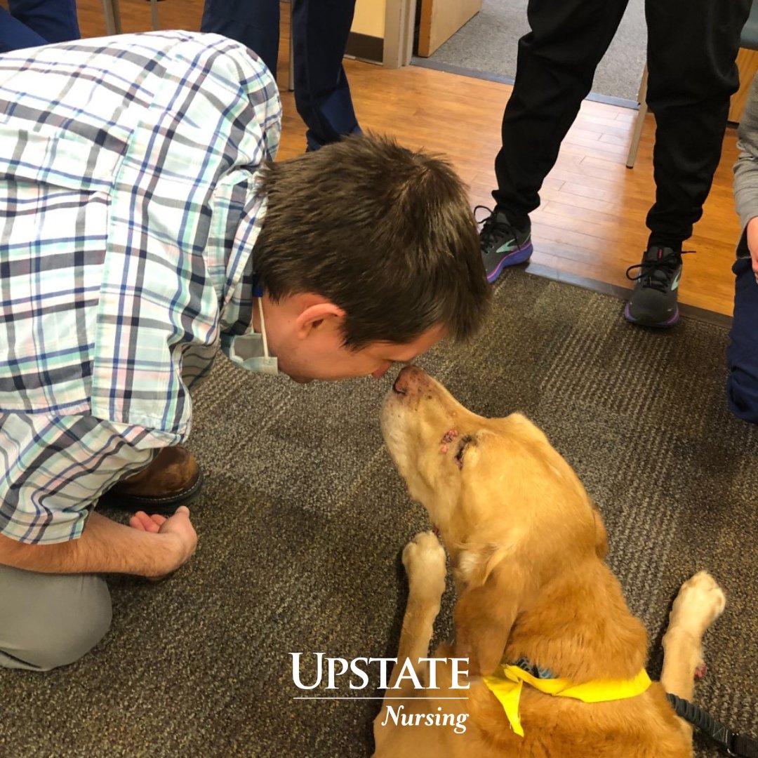 upstate_nursing's tweet photo. Great visit at both our Community and Downtown campuses with Tom and Mason for our Pet a Pooch sessions!
Thanks to our professional development team for setting up these sessions for our staff!
#petapooch #pettherapy #dog #dogs https://t.co/RgBI0LQtyC