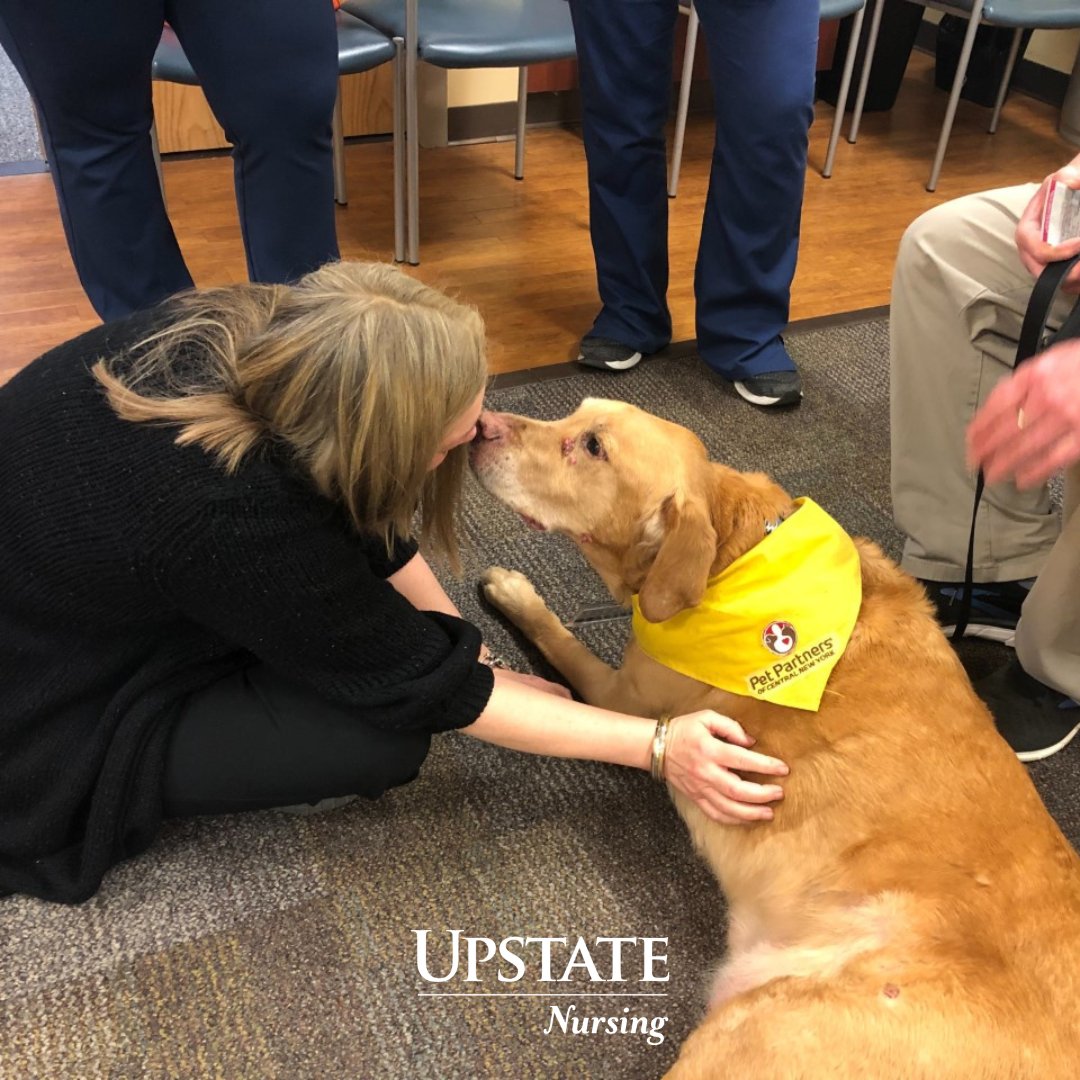 upstate_nursing's tweet photo. Great visit at both our Community and Downtown campuses with Tom and Mason for our Pet a Pooch sessions!
Thanks to our professional development team for setting up these sessions for our staff!
#petapooch #pettherapy #dog #dogs https://t.co/RgBI0LQtyC