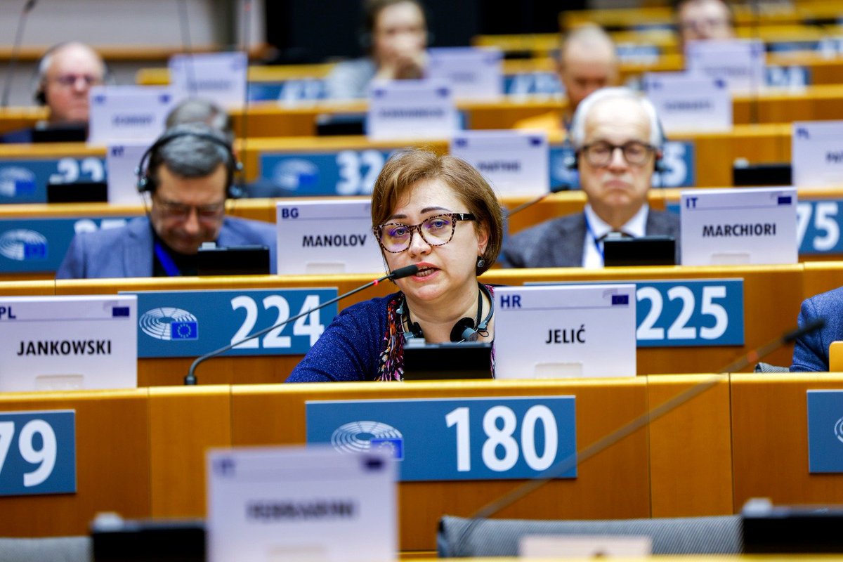 Chambers and professional organisations are entities that have capacities and need to play a leading role in lifelong learning. @Jelic_Violeta at #EESCPlenary