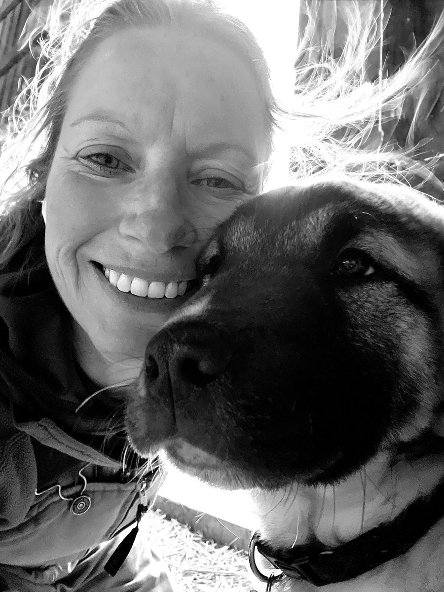 Love him so much! ❤️ #anatolianshephard #turkishkangal #Guardianangel
