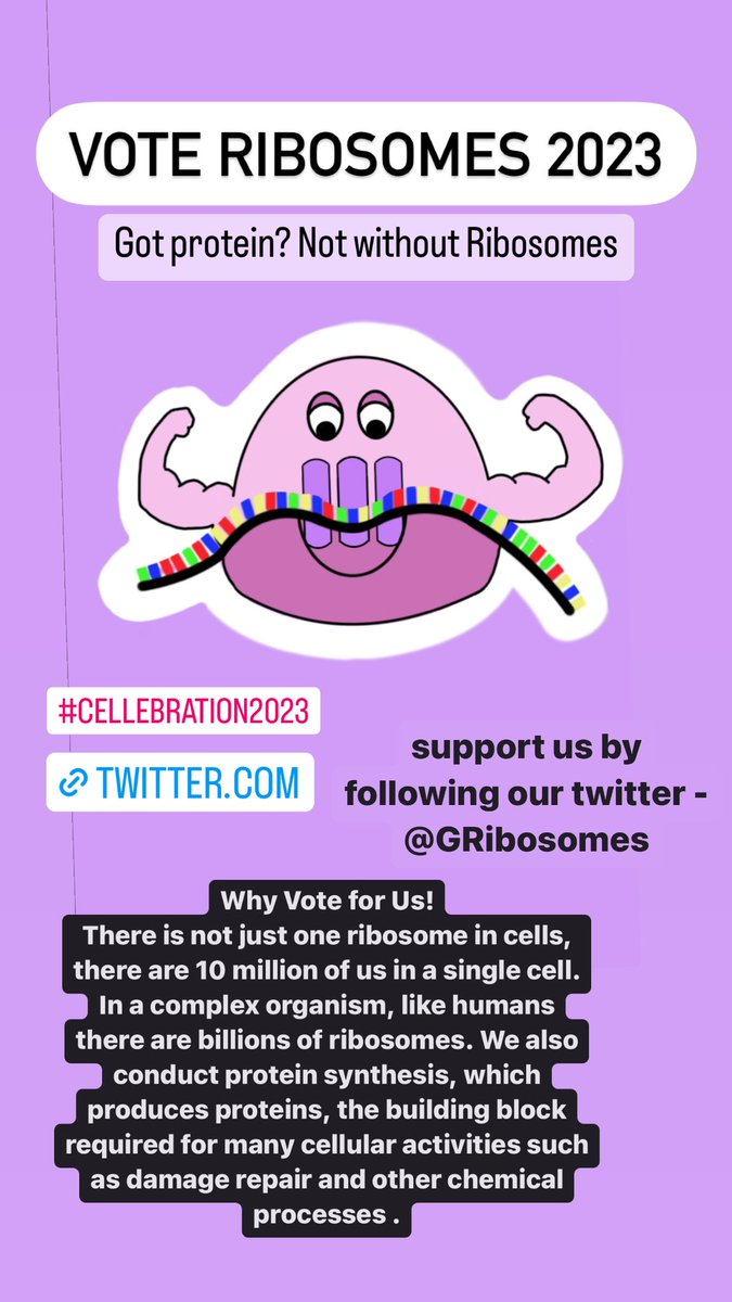 #WeAreBarrons #CELLebration2023