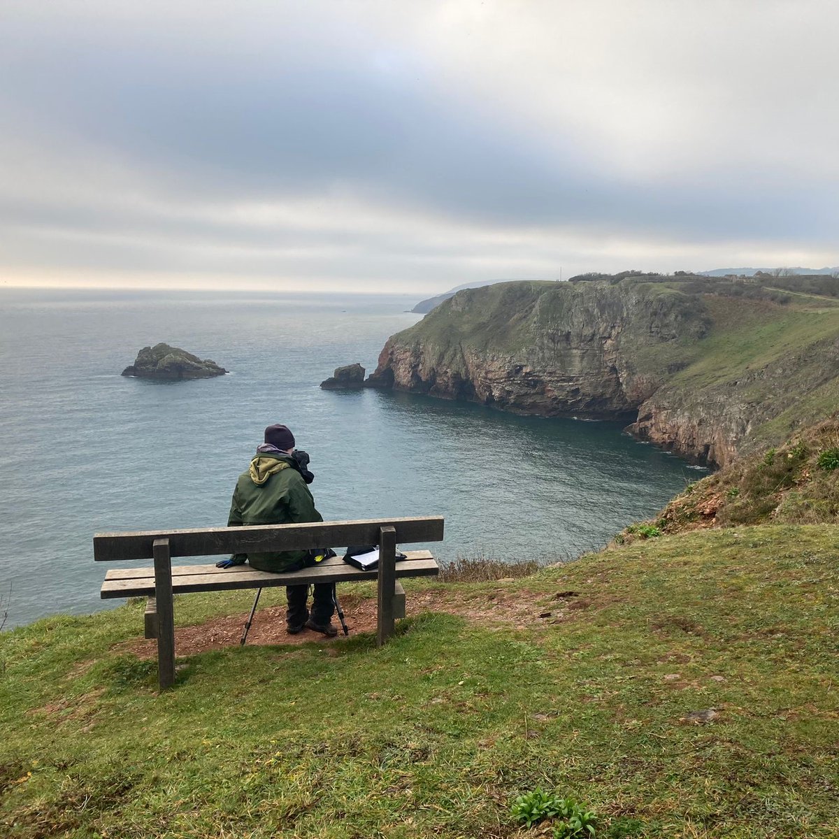 BerryHeadRanger's tweet photo. Throughout the year, we carry out guillemot counts to monitor the guillemot numbers. Recent counts have shown healthy numbers of just over 1,000 guillemots on the cliffs at Berry Head.
#guillemots #seabirds #seabirdcount https://t.co/B67SRgFTQF